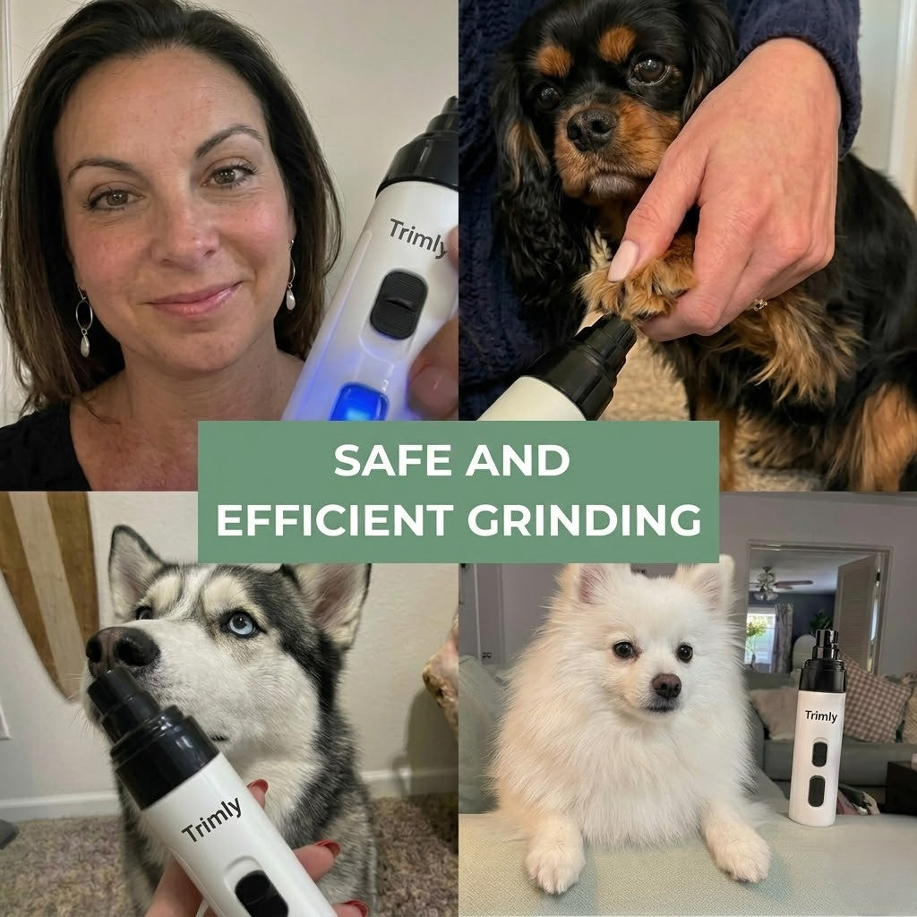 Trimly nail grinder being used on calm dog paw - safe and gentle nail care